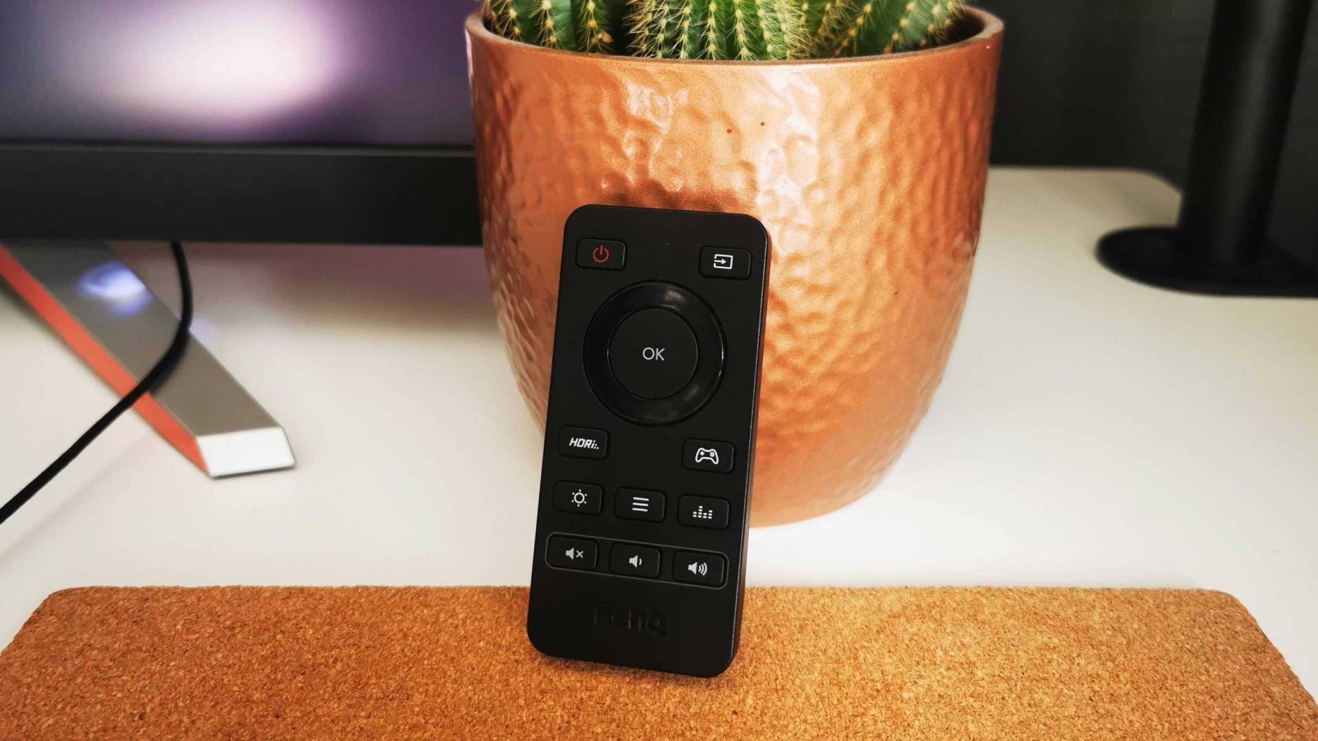 BenQ remote leaning against cactus pot.