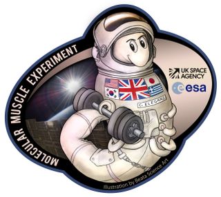Molecular Muscle Experiment mission patch