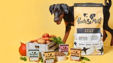 A medium sized dog looking at a collection of Pooch & Mutt food packets, along with fresh food in a wooden crate.