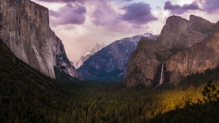 who was john muir: Yosemite Valley