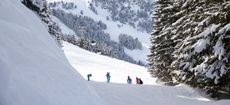 best ski circuits