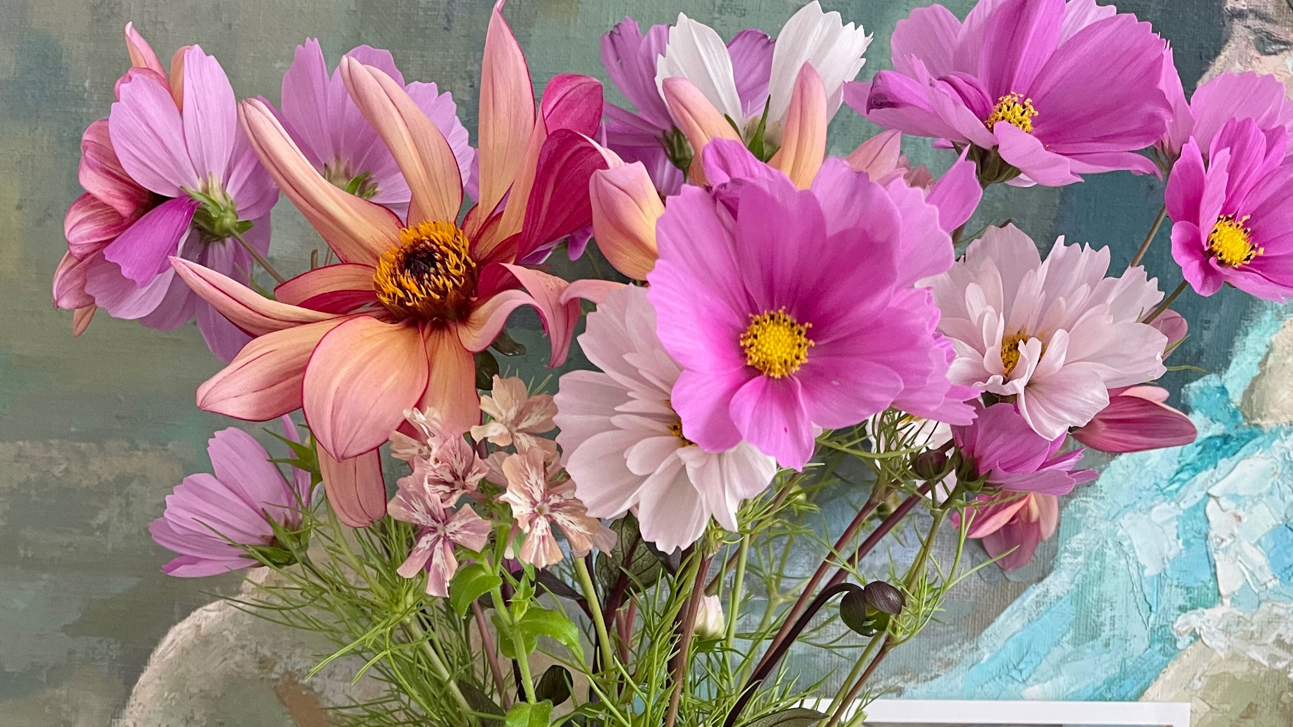 Fresh pink flowers against blue-green background