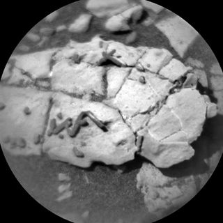 Curiosity ChemCam Remote Micro-Imager photo of novel stick-like features, taken on Dec. 31, 2017.