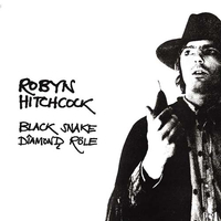 Robyn Hitchcock - Black Snake Diamond Röle (1981)