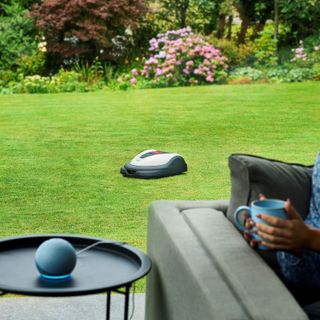 smart robot cleaner robot mower in a garden on a large lawn