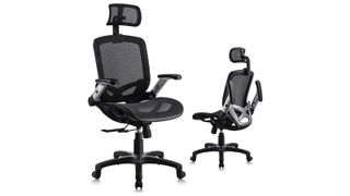 Gabrylly Ergonomic Mesh Office Chair review: An image showing the chair from the front and side