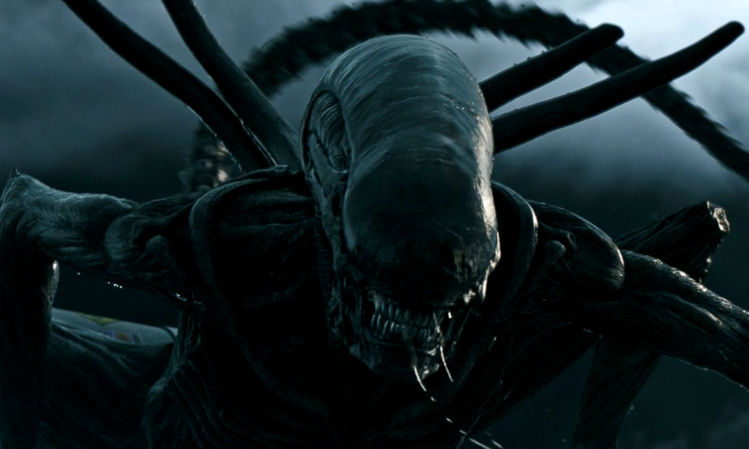 'Alien' Horror: 9 Terrifying Xenomorphs from the 'Alien' Movies | Space