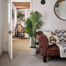 Carpeted living room with a leather sofa and a palm plant next to it