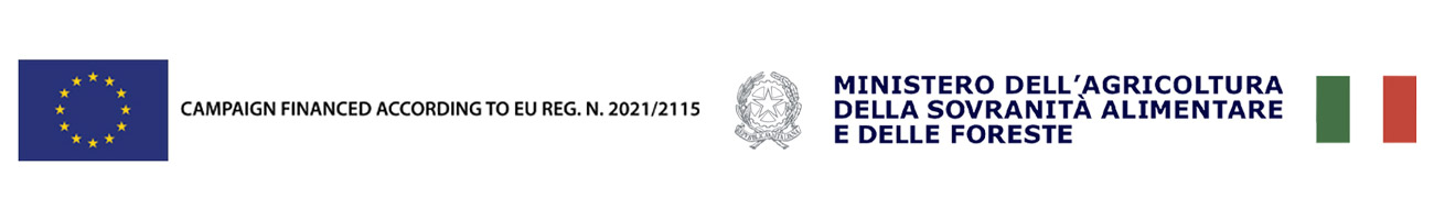 EU funding OCM logo - Italy