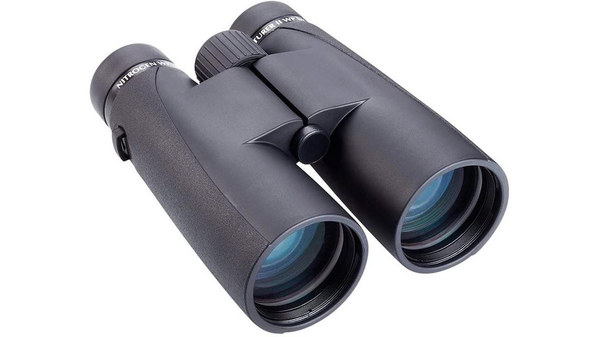 Best binoculars in 2023: Top picks for stargazing and more | Space