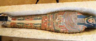 A recently discovered mummy in a sarcophagus.