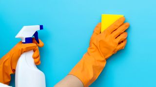 Orange rubber gloves holding spray bottle and scrub sponge cleaning a blue wall