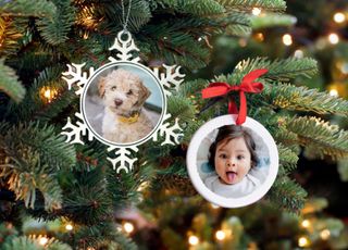 Ornaments featuring family photos on Christmas tree