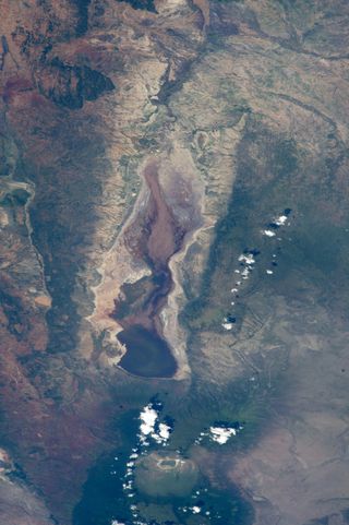 The pink hue of Lake Natron in Tanzania, as photographed from the International Space Station, is indicative of the level of algal growth as necessary for the lesser flamingo's survival.