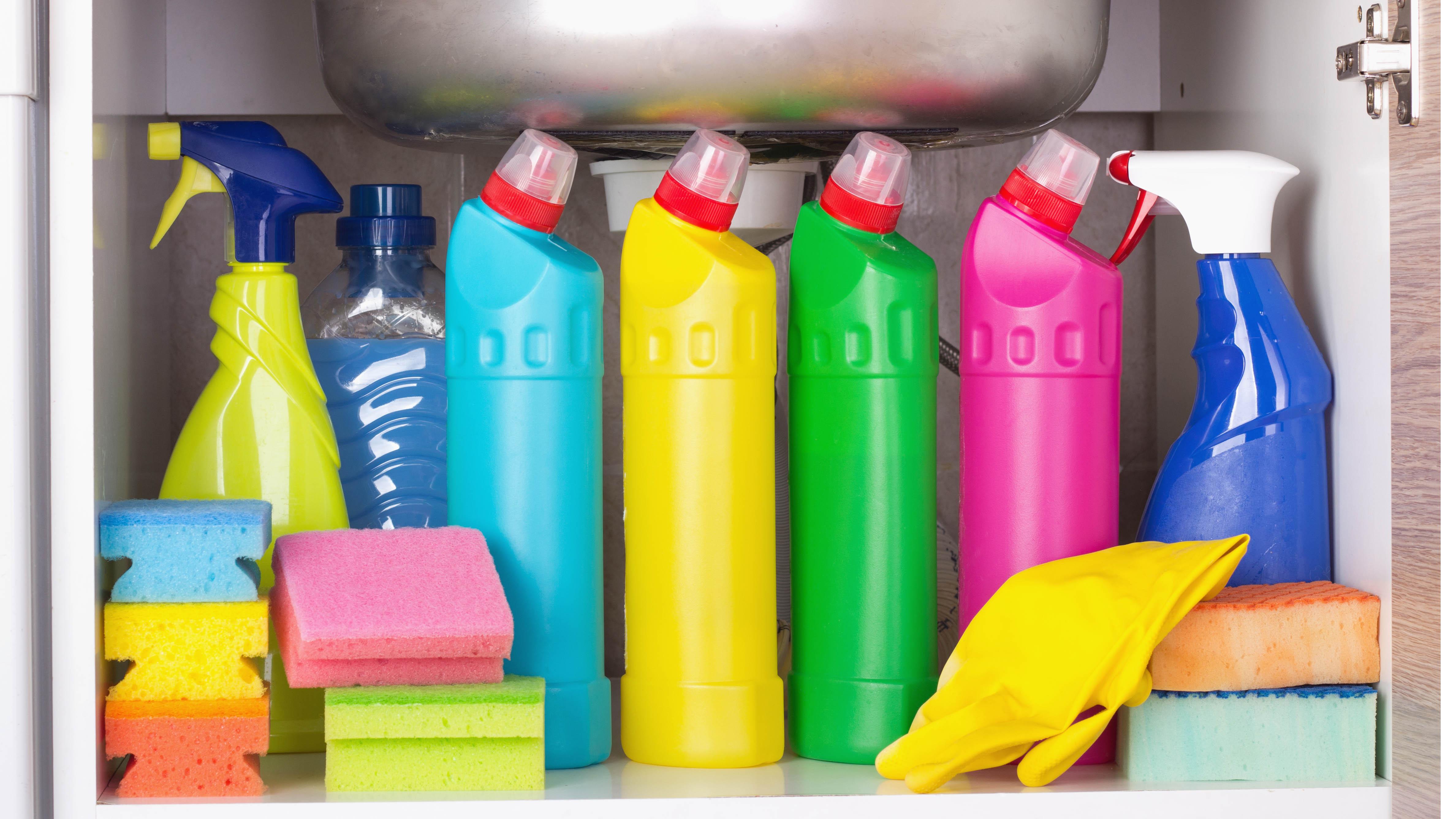 Cleaners stored under a kitchen sink
