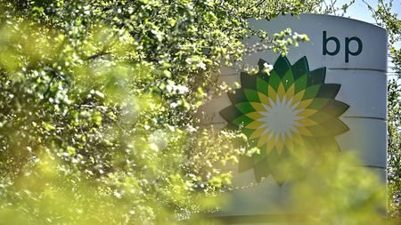 BP logo in trees