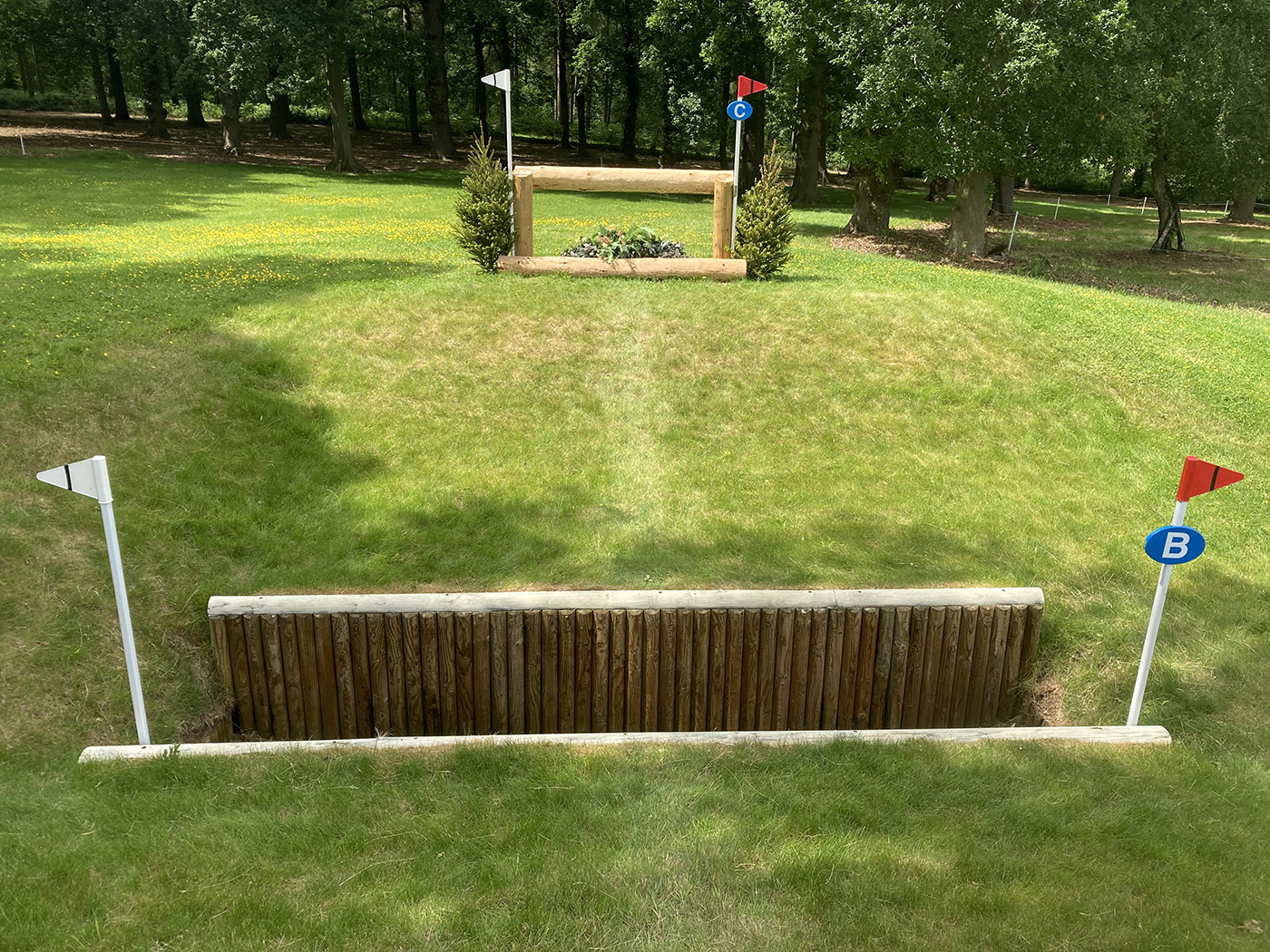 image00012