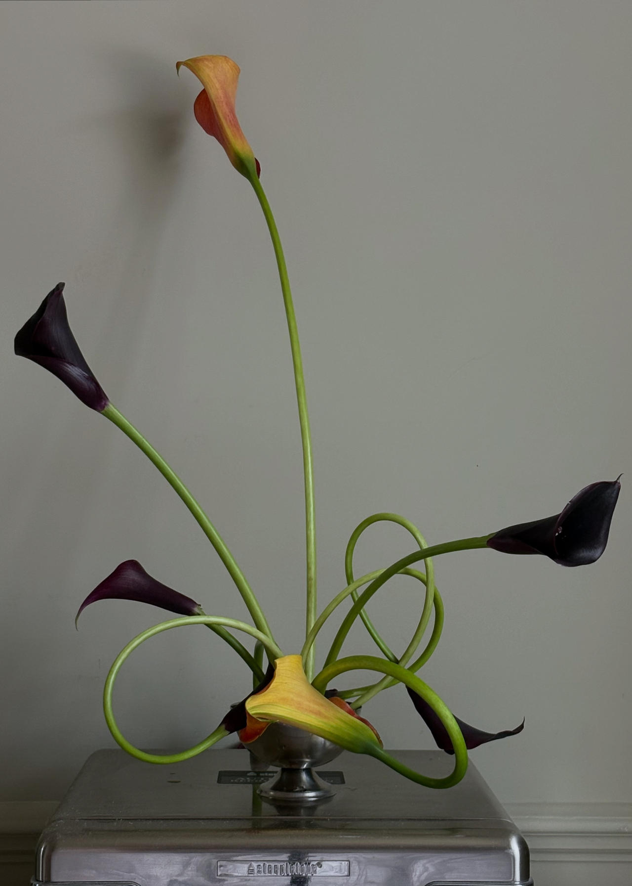 A short silver coupe with curled calla lilies