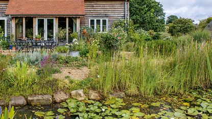 wildlife pond edging ideas