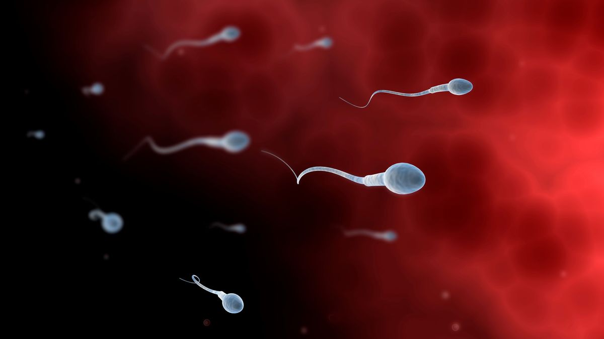 Conceptual image of sperm