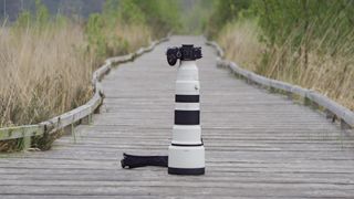 The Sony A7R VI with the FE 400-800mm F6.3-8 G OSS supertelephoto zoom lens attached, stood on a boardwalk in a nature reserve