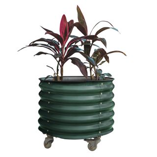 Vego Garden Self-Watering Rounded Rolling Planter