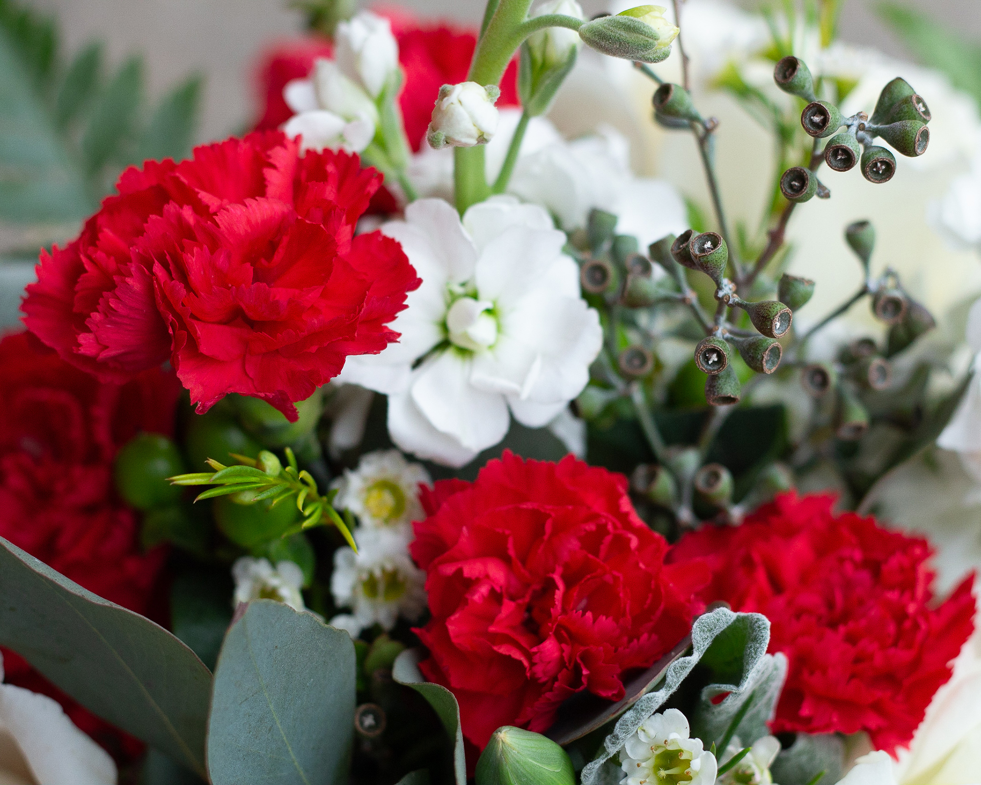 Winter-themed floral arrangement of white garden roses, red pixie carnations, dusty miller, eucalyptus, coffee bean, and fern