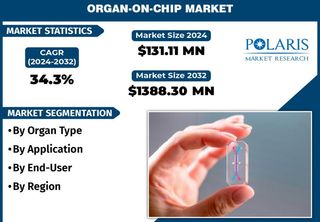 Global Organ On Chip Market