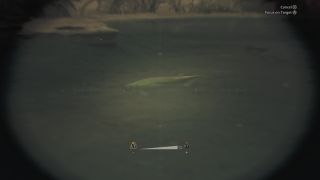 Monster Hunter Wilds Gravid Bowfin - Virid Bowfin in a pool