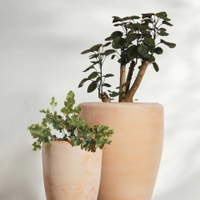 Abrielle Planters | $244 from Lulu &amp; Georgia