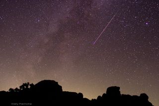 Perseid Over Joshua Tree