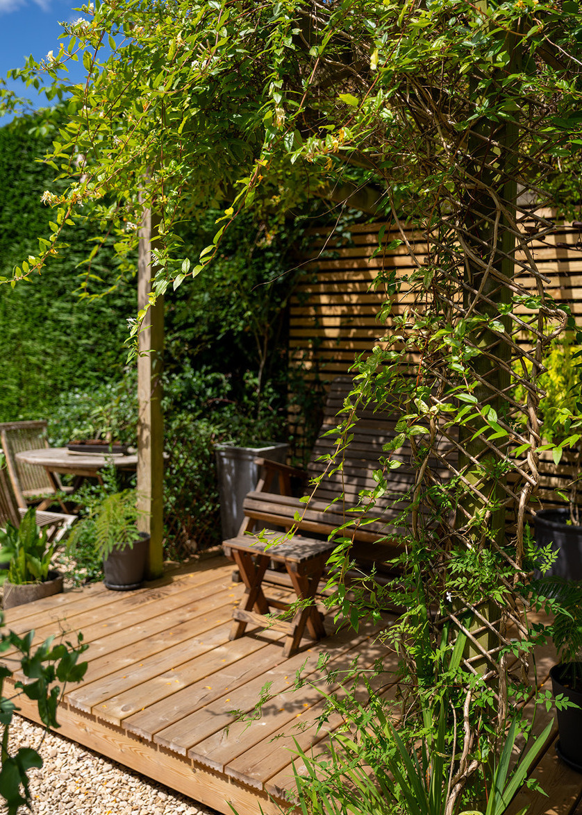 deck surrounded by climbing plants for privacy