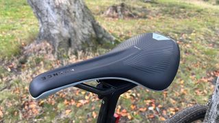 Bike saddle with tree and grass in background