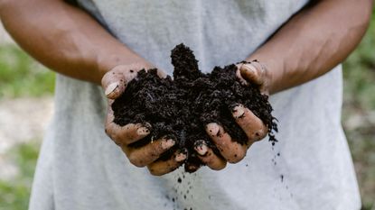 Hands holding soil