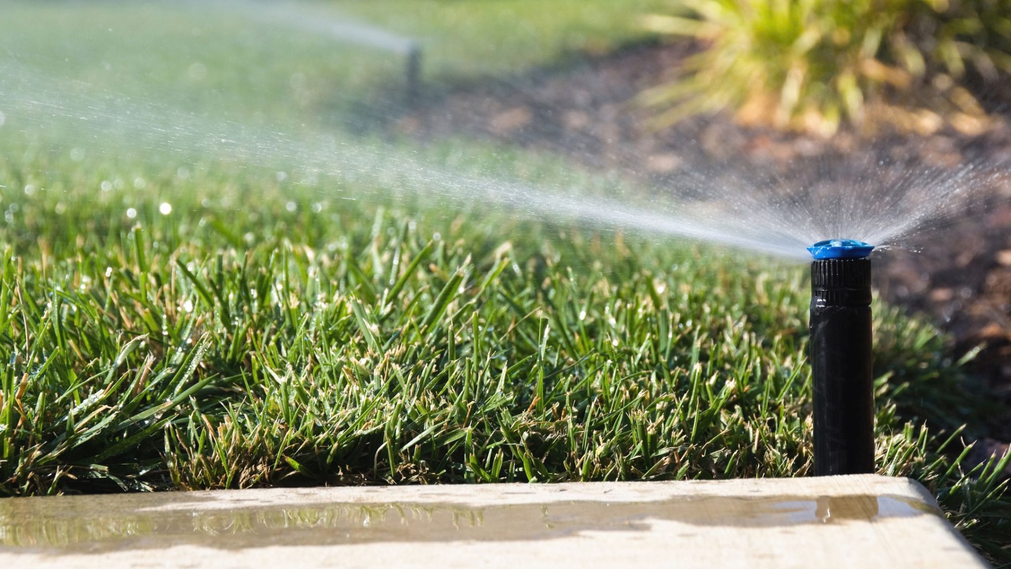 9. Drain your sprinkler system