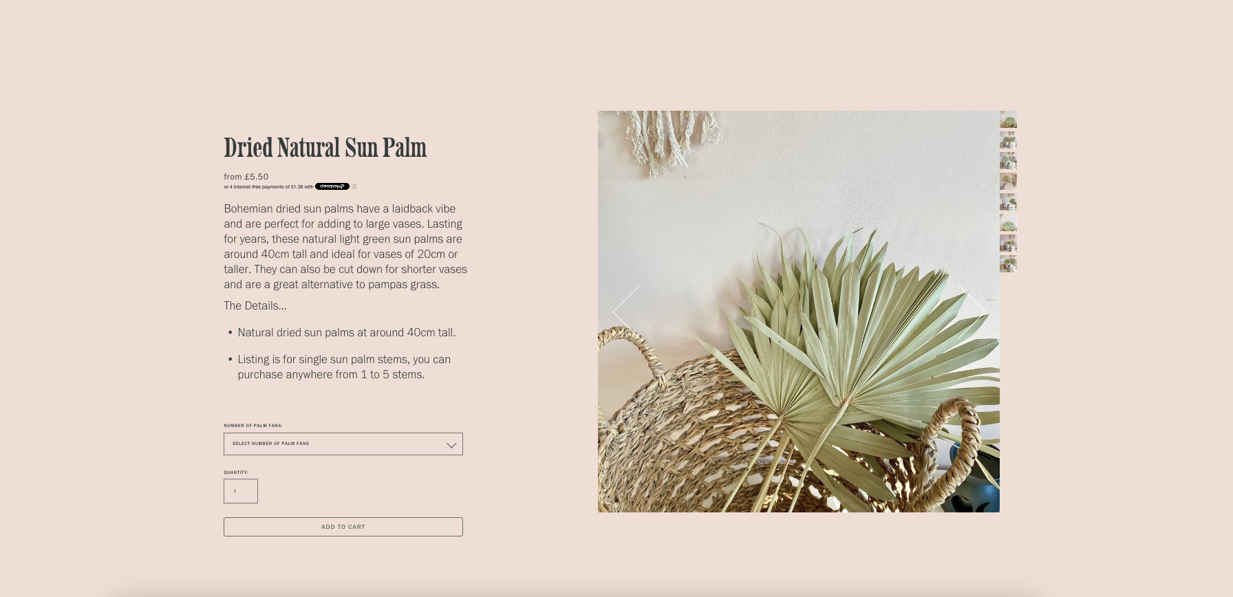 product page from blush and earth website