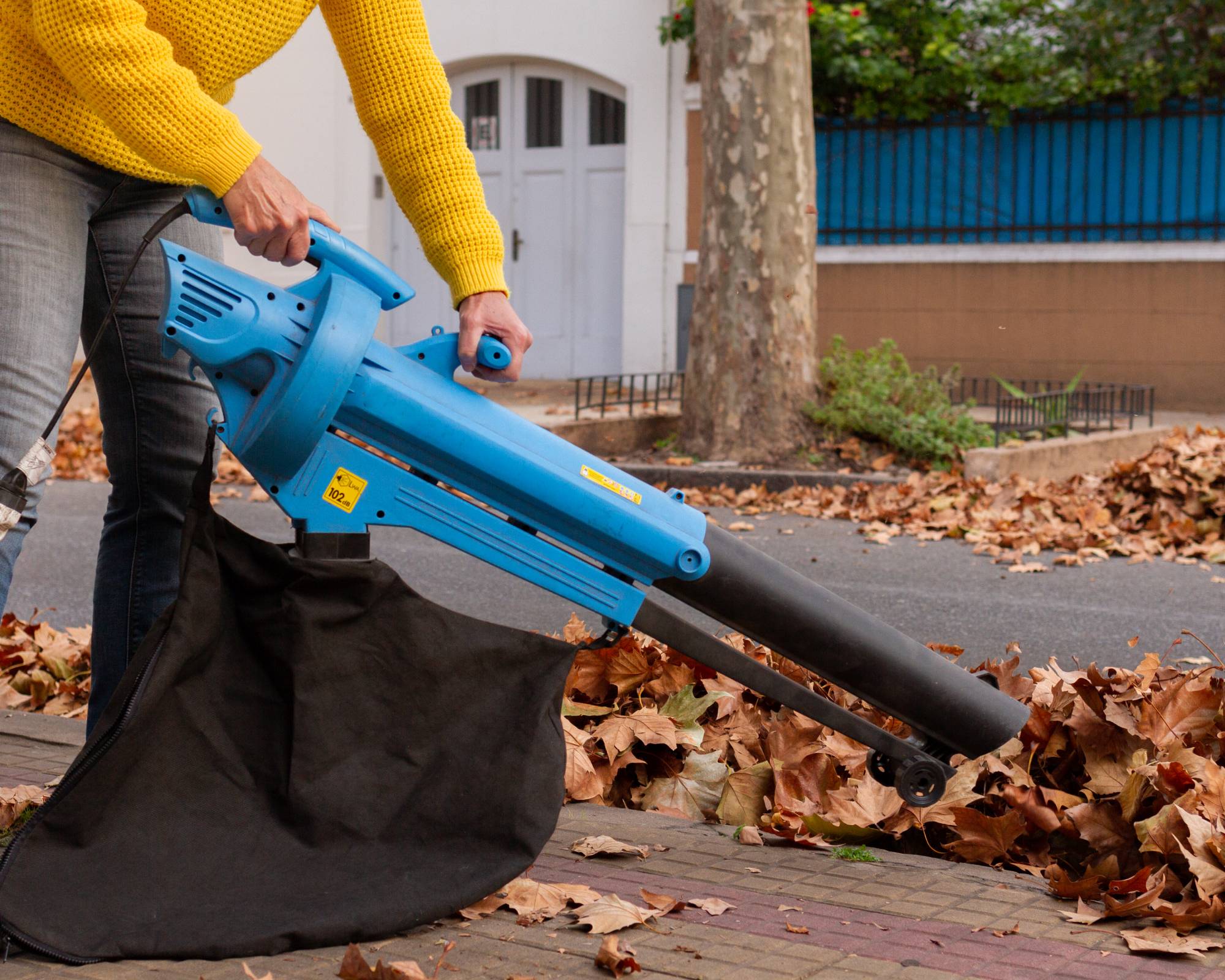 Gardener uses leaf vacuum on fallen leaves