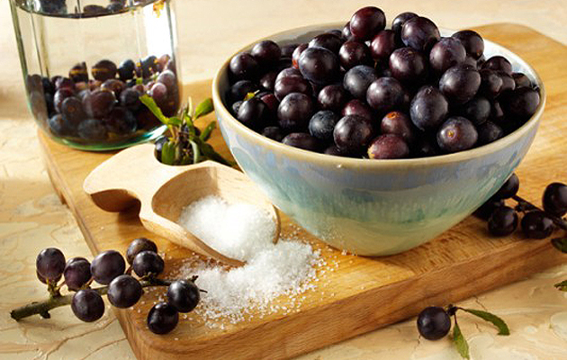 sloe gin recipe