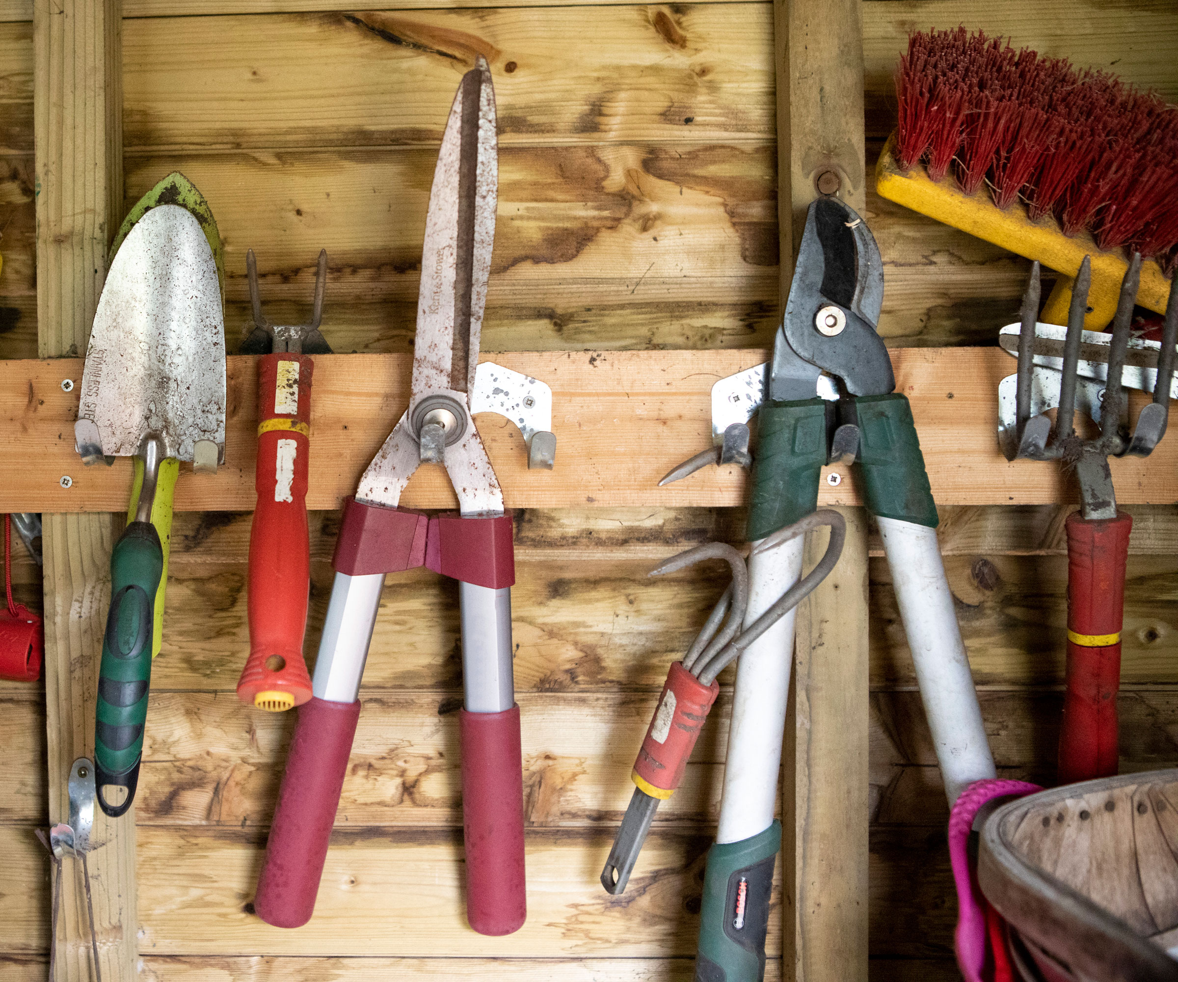 hoes, shears, loppers and other gardening tools hanging on hooks inside a shed