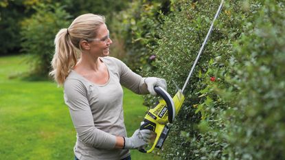 how to trim a hedge