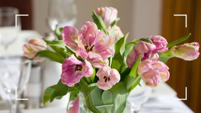 picture of pink tulips in vase on table