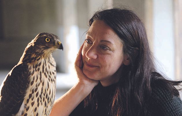 A haunting but uplifting story of grief being transformed by the love of a bird of prey called a goshawk.