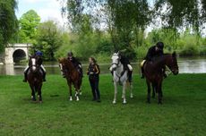 pony-hug-windsor-e1463656041926.jpg