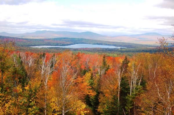 fall-foliage-rangeley-mts-100921-02