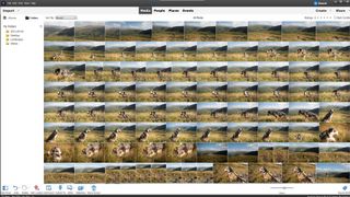 The best photo organizing software in 2024
