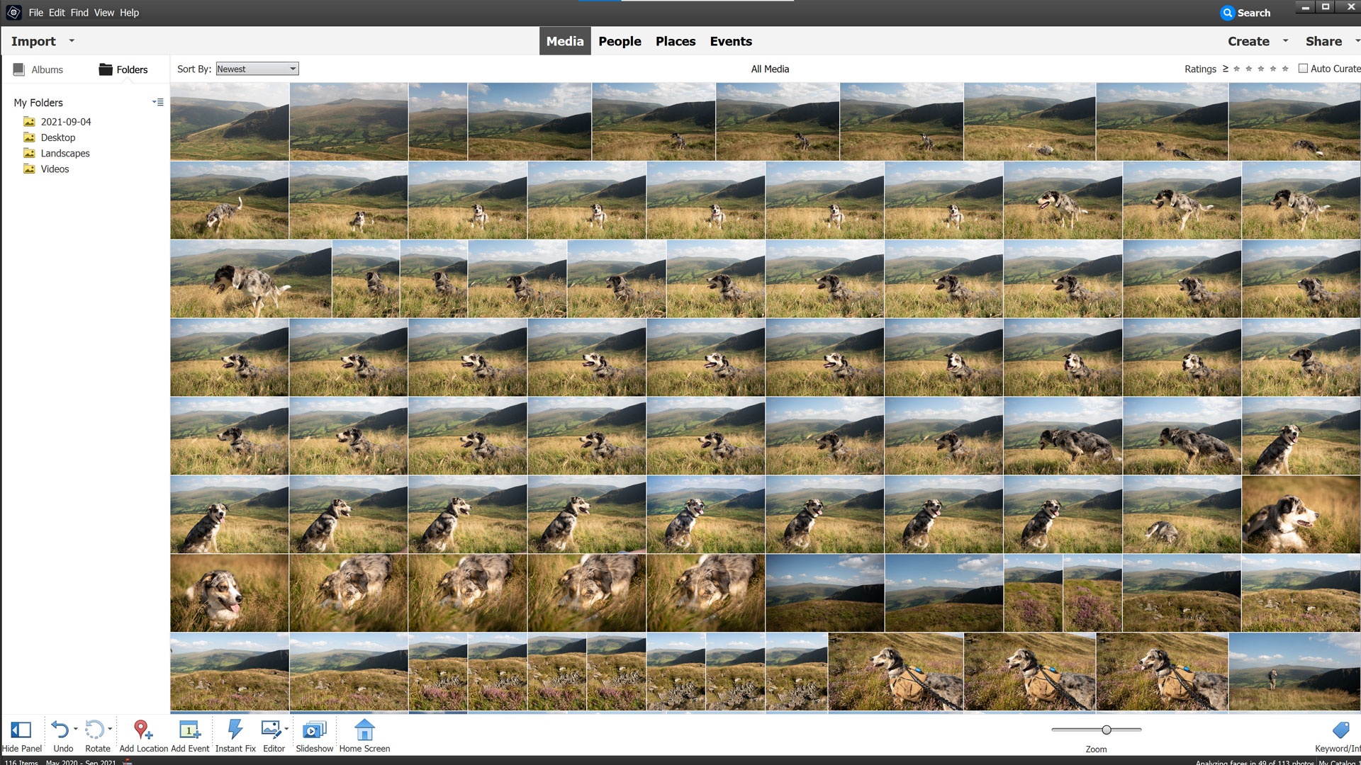 Interface of Adobe Elements Organizer, among the best photo organizing software