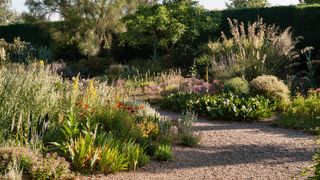A dry gravel garden with lots of drought tolerant planting