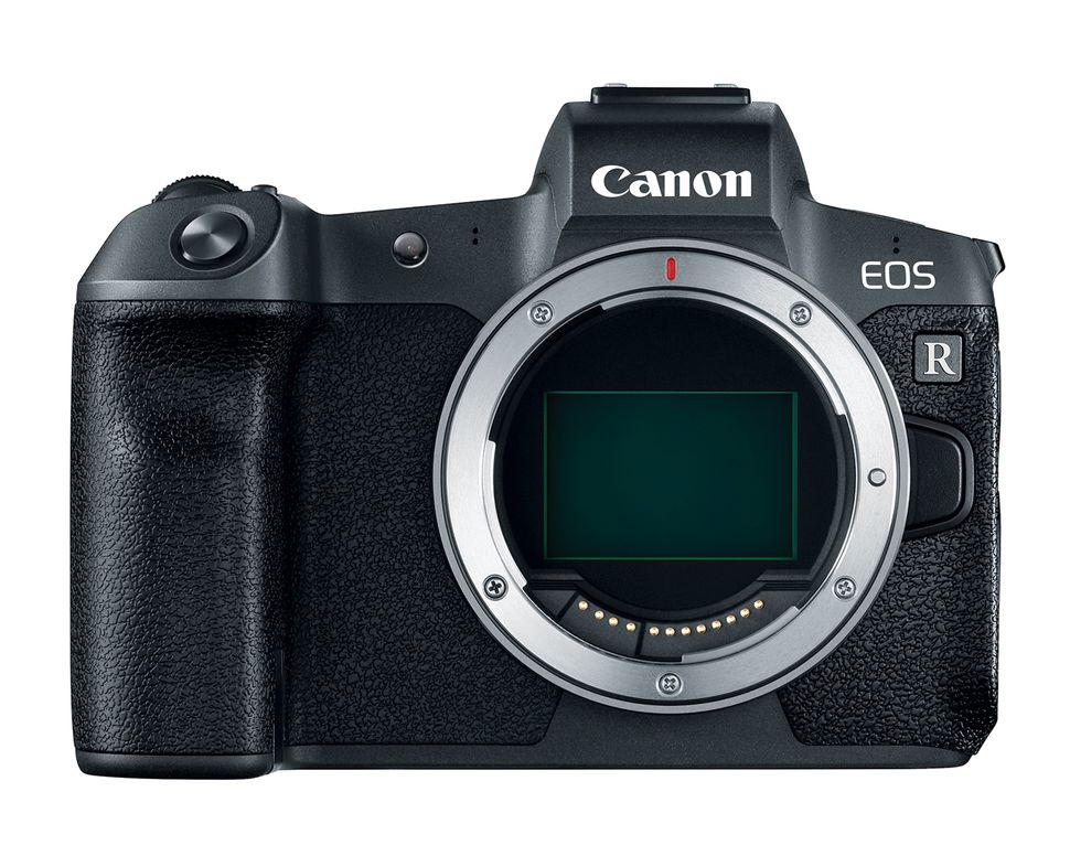 Canon School: Master macro photography with your Canon camera | Digital ...