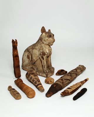 animal mummies