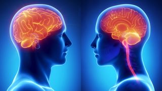 man and woman facing each other with brains highlighted